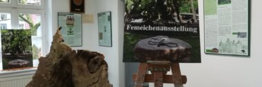 Femeiche zum Nationalerbe-Baum ausgerufen und mit eigener Ausstellung gewürdigt